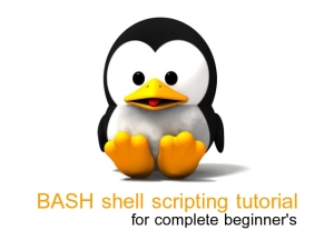 what is a shell - bash shell scripting tutorial for beginners